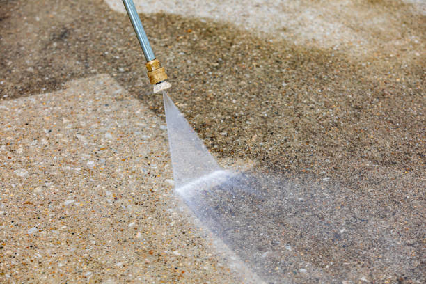 Best Sidewalk and Walkway Cleaning  in Thayer, MO