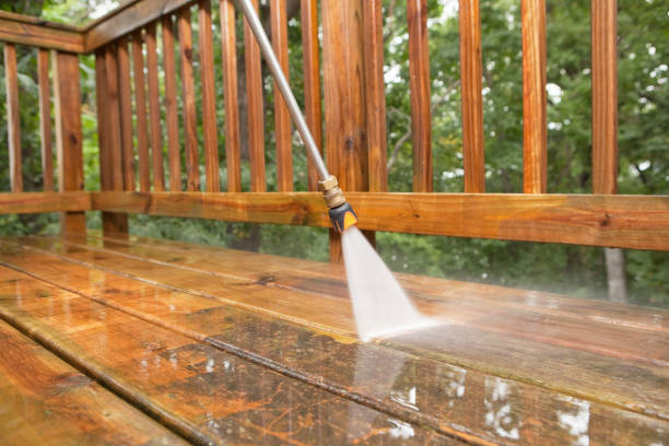 Best Fence Cleaning  in Thayer, MO